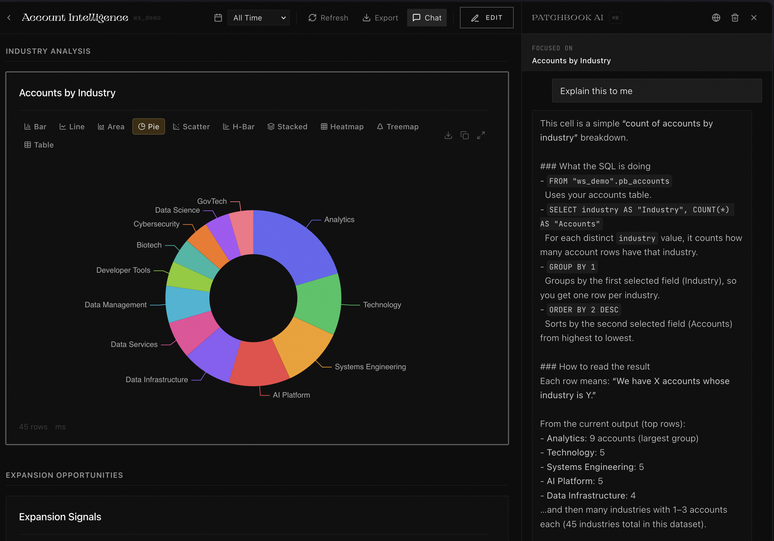 PATCHBOOK Account Intelligence with industry breakdown and AI analysis